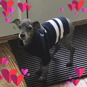 Meet your Posher, Laura